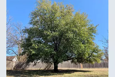 306 Pecan Street, Howe, TX 75459 - Photo 33