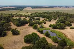 Tbd Fm 901, Whitesboro, TX 76273 - Photo 21
