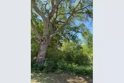 1789 Fm 499, Greenville, TX 75401 - Photo 3