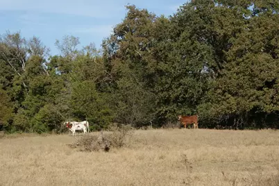 13733 County Road 109, Kaufman, TX 75142 - Photo 35