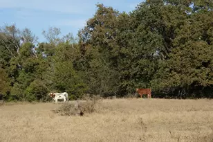 13733 Co Rd 109, Kaufman, TX 75142 - Photo 35