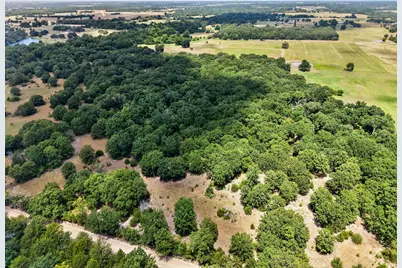 Tbd County Road 4816, Wolfe City, TX 75496 - Photo 7