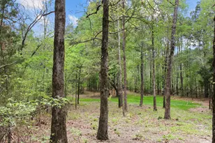 15250 Farm To Market 858, Athens, TX 75752 - Photo 29