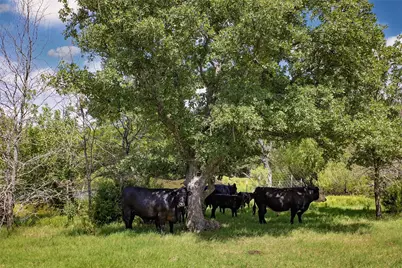 578 County Road 134, Gainesville, TX 76240 - Photo 7
