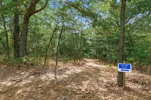 230 Frosty Holw Rd, Denison, TX 75021 - Photo 37
