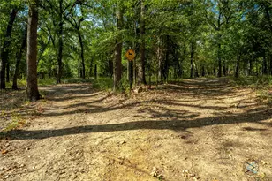 6060 Pinnacle Club Dr, Mabank, TX 75156 - Photo 19