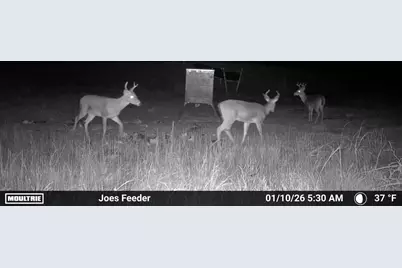 000 Fm 196, Pattonville, TX 75468 - Photo 11