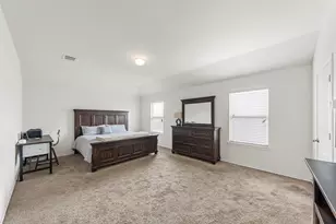 901 Opal Path, Princeton, TX 75407 - Photo 15