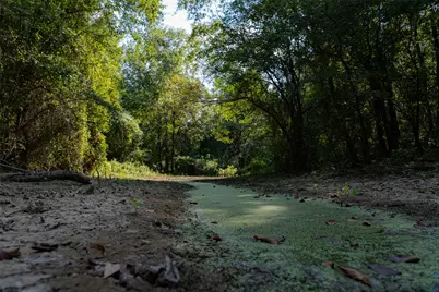 0 Cr-3516, Brownsboro, TX 75756 - Photo 15