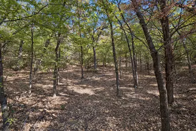 2301 Moseley Road, Cross Roads, TX 76227 - Photo 7