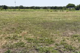 14050 S State Hwy 78, Leonard, TX 75452 - Photo 31