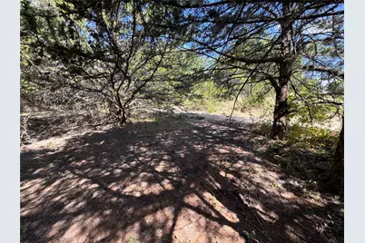 6395 Sh 160 Highway, Whitewright, TX 75491 - Photo 9