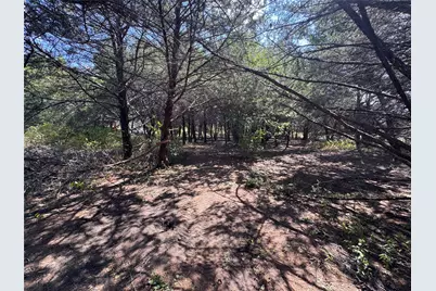 6395 Sh 160 Highway, Whitewright, TX 75491 - Photo 3