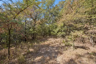 2301 Moseley (Land) Road, Cross Roads, TX 76227 - Photo 17