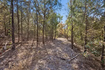 2301 Moseley (Land) Road, Cross Roads, TX 76227 - Photo 3