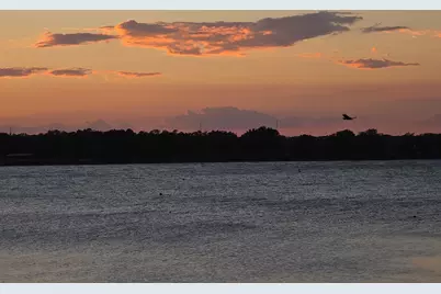 180 Vz County Road 3734, Wills Point, TX 75169 - Photo 29