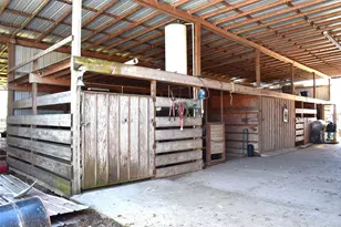 195 County Rd 2468, Winnsboro, TX 75494 - Photo 19