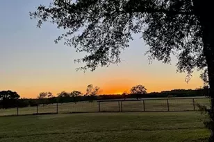 1210 Vz County Road 2316, Canton, TX 75103 - Photo 29