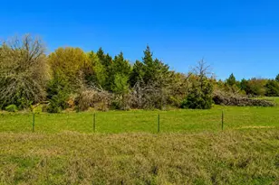 Lot 11 Parker Dairy Rd, Forestburg, TX 76239 - Photo 1