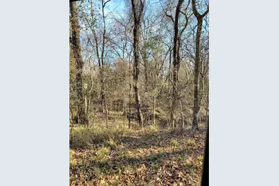 0 Wood Lane, Mabank, TX 75156 - Photo 3