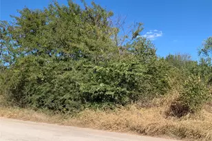 103 Bridlewood Ln, Bridgeport, TX 76426 - Photo 1
