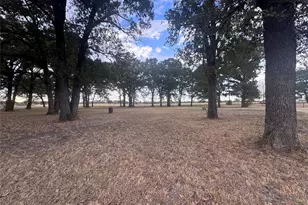 2484 Co Rd 2324, Como, TX 75431 - Photo 3