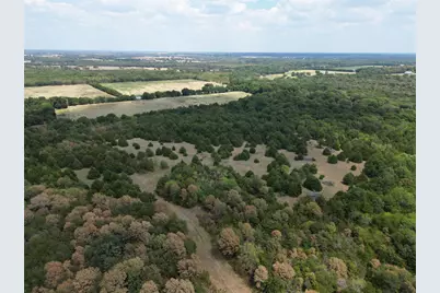 25 Acres County Road 1019, Celeste, TX 75423 - Photo 5
