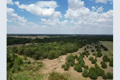 50 Acres County Road 1026, Celeste, TX 75423 - Photo 3