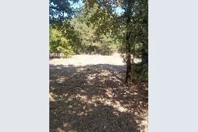 1226 Hcr 1425, Covington, TX 76636 - Photo 3