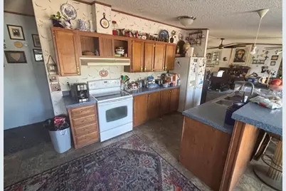 4203 County Road 382, No City, TX 78253 - Photo 3