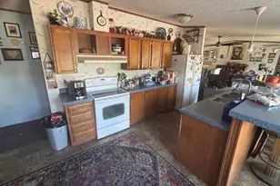4203 County Rd 382, No City, TX 78253 - Photo 3