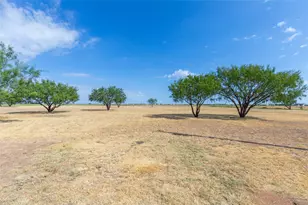 390 Mesquite Ln, Abilene, TX 79601 - Photo 31
