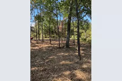 Tbd Garner Drive, Mabank, TX 75156 - Photo 3