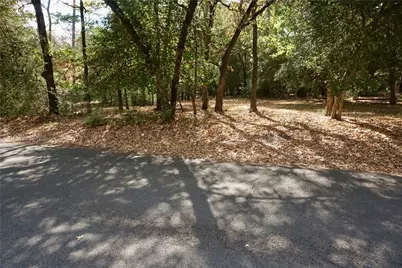 Tbd Lot 146 (Evening Shadows Trail) Trail, Holly Lake Ranch, TX 75765 - Photo 3