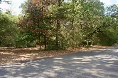 Tbd Lot 146 (Evening Shadows Trail) Trail, Holly Lake Ranch, TX 75765 - Photo 1