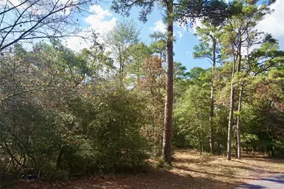 Tbd Lot 146 (Evening Shadows Trail) Trail, Holly Lake Ranch, TX 75765 - Photo 11