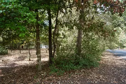 Tbd Lot 146 (Evening Shadows Trail) Trail, Holly Lake Ranch, TX 75765 - Photo 7