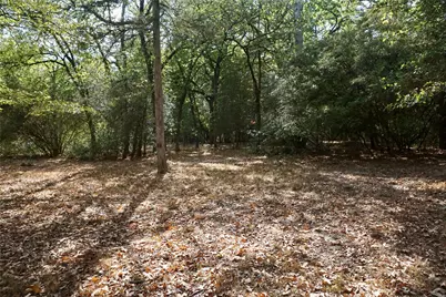 Tbd Lot 146 (Evening Shadows Trail) Trail, Holly Lake Ranch, TX 75765 - Photo 5