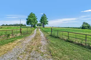 1200 Co Rd 1215, Savoy, TX 75479 - Photo 33