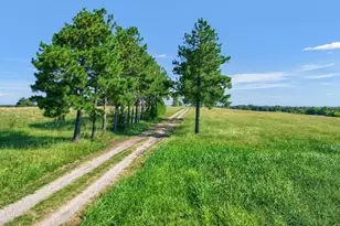 1200 Co Rd 1215, Savoy, TX 75479 - Photo 7
