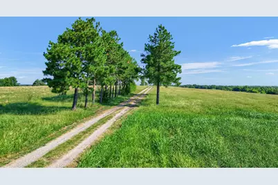 1200 County Road 1215, Savoy, TX 75479 - Photo 7