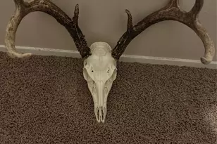1061 Co Rd 1807, Yantis, TX 75497 - Photo 37