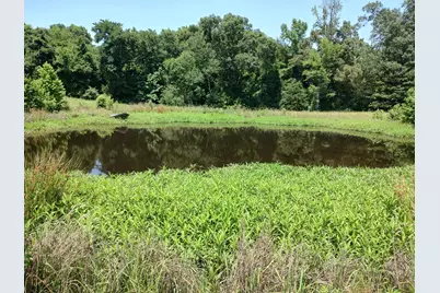 1061 County Road 1807, Yantis, TX 75497 - Photo 39