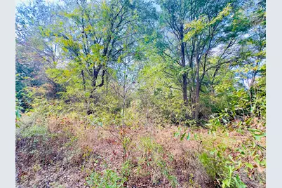 0000 Apple Tree Road, Gilmer, TX 75644 - Photo 21