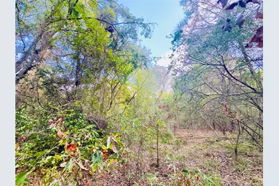 0000 Apple Tree Road, Gilmer, TX 75644 - Photo 17