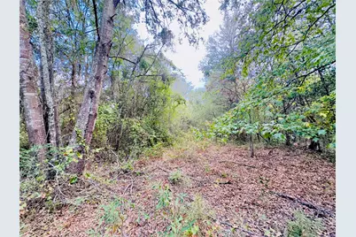 0000 Apple Tree Road, Gilmer, TX 75644 - Photo 3
