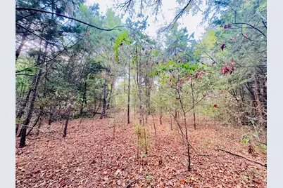 0000 Apple Tree Road, Gilmer, TX 75644 - Photo 9