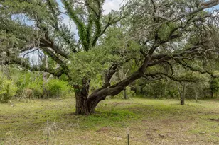 2523 Co Rd 218, Hico, TX 76457 - Photo 29