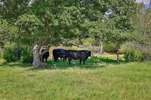 574 Co Rd 134, Gainesville, TX 76240 - Photo 19