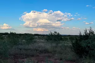 2889 Co Rd 131, Tuscola, TX 79562 - Photo 29
